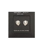 Secretbox - Monstera Silver